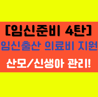  [임신 준비 4탄] 임신출산 의료비 지원(청소년 산모), 산모/신생아 건강관리 알아보기!