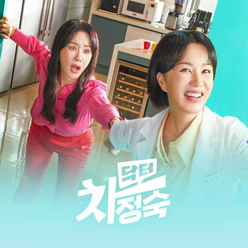  JTBC 드라마 닥터 차정숙 줄거리, 기획의도, 기본정보, 등장인물소개
