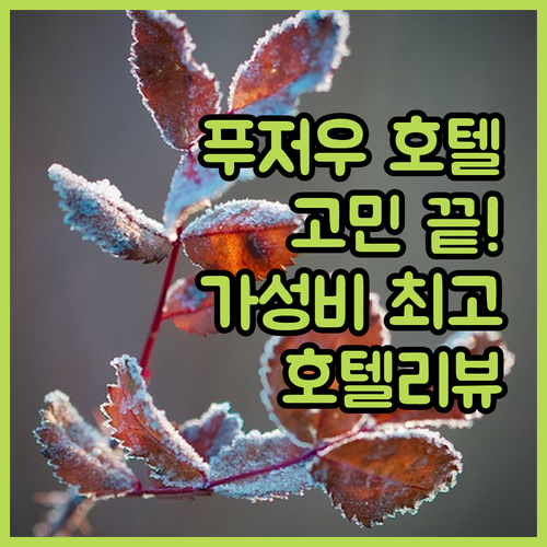 푸저우 호텔 고민 끝! 가성비 최고 