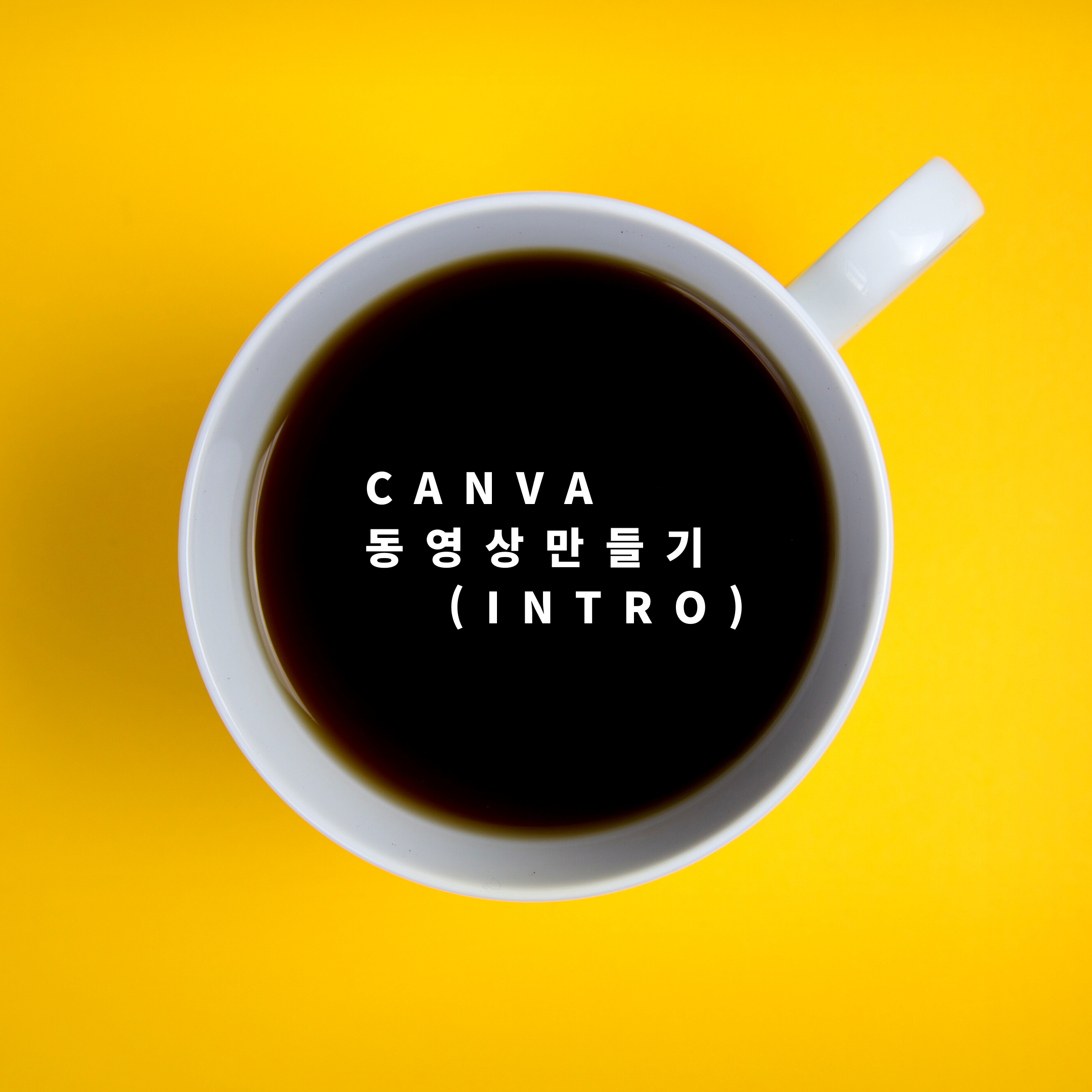  캔바(Canva) 동영상유튜브 인트로 실습무료 소셜 미디어 마케팅 동영상 제작