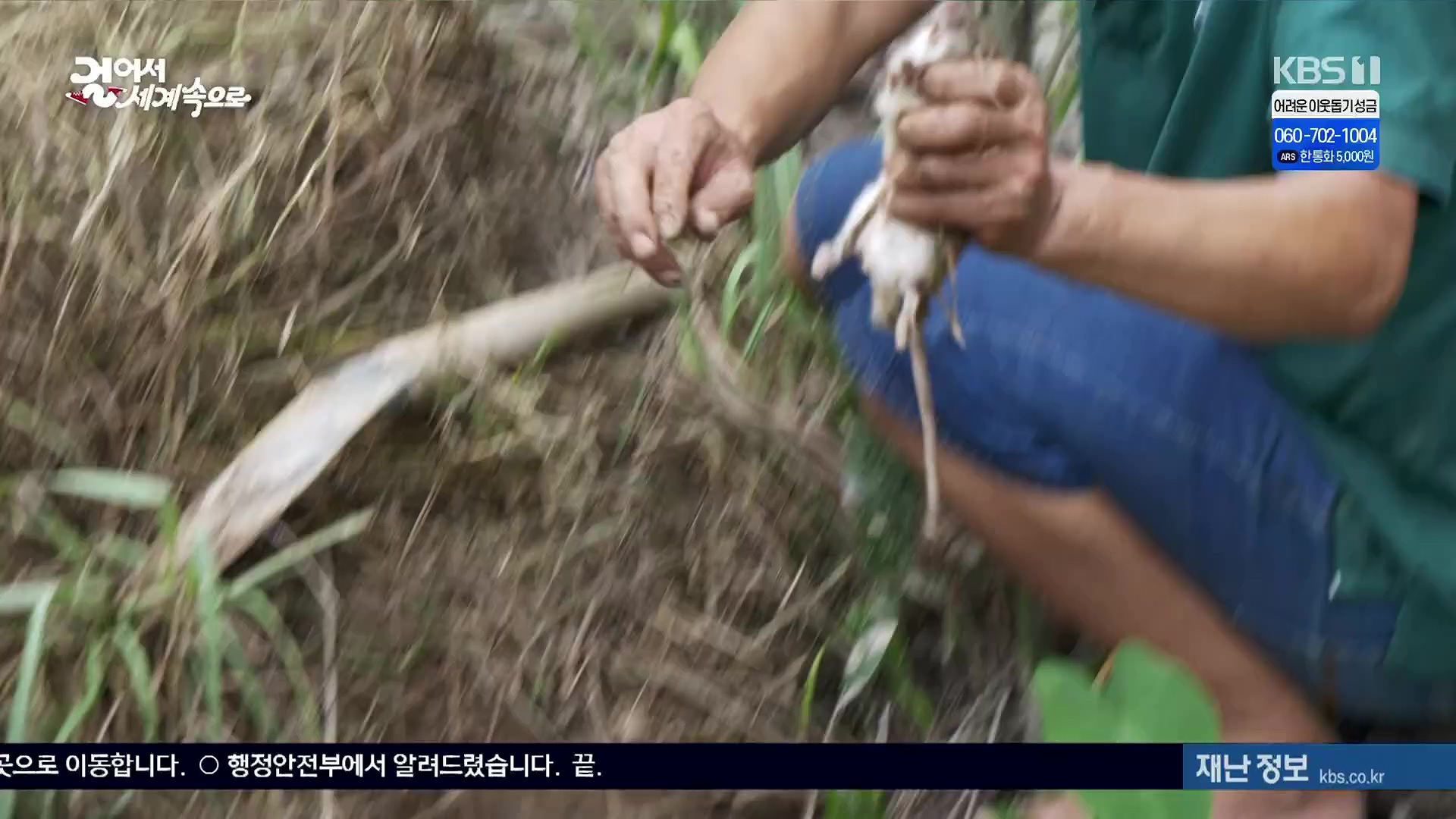 걸어서 세계속으로.E826.240120p.H264-F1RST.mp4_20240716_202115.796.jpg