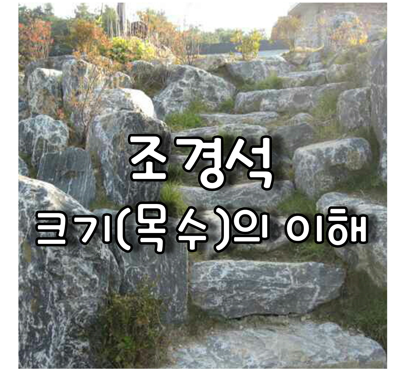  조경석 규격별 크기 와 목수 이해