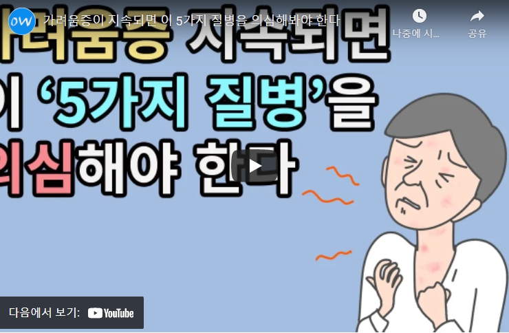  몸간지러움 전신가려움증 피부가려움증 원인과 치료 519