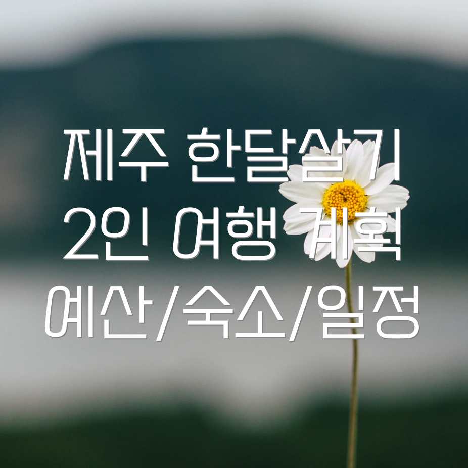 제주도 한달살기