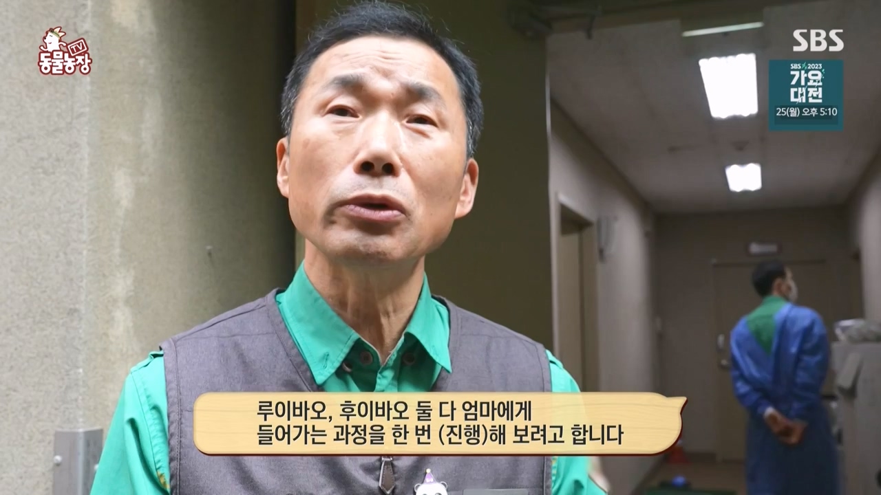 TV 동물농장.E1150.231218p-NEXT.mp4_20231217_171347.028.jpg