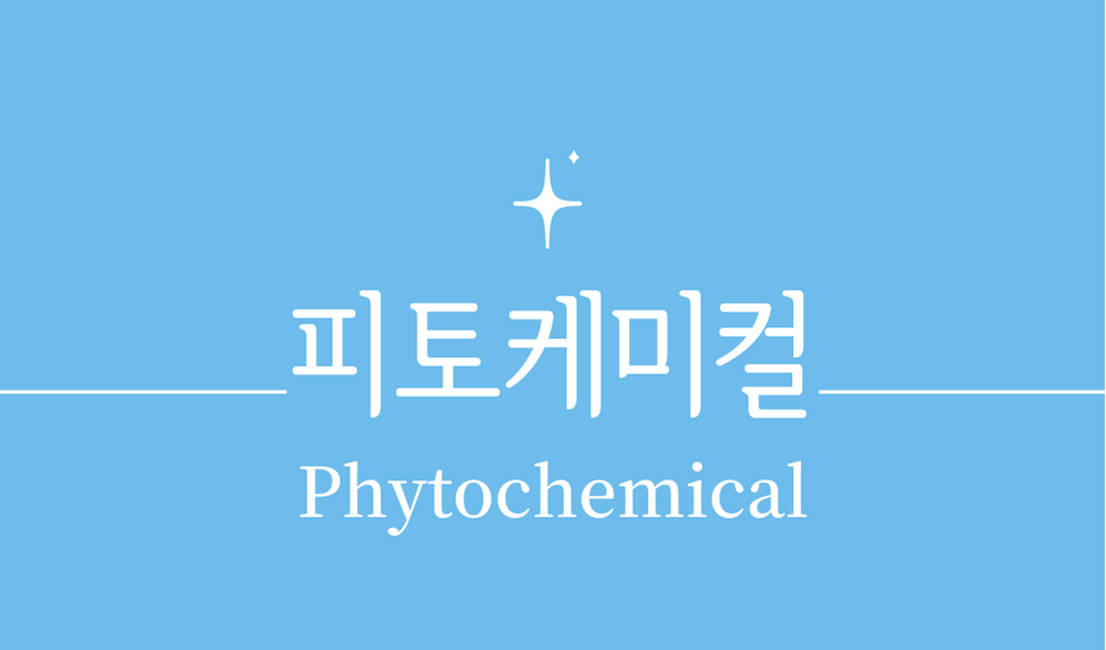 &#39;파이토케미컬/피토케미컬(Phytochemical)&#39;