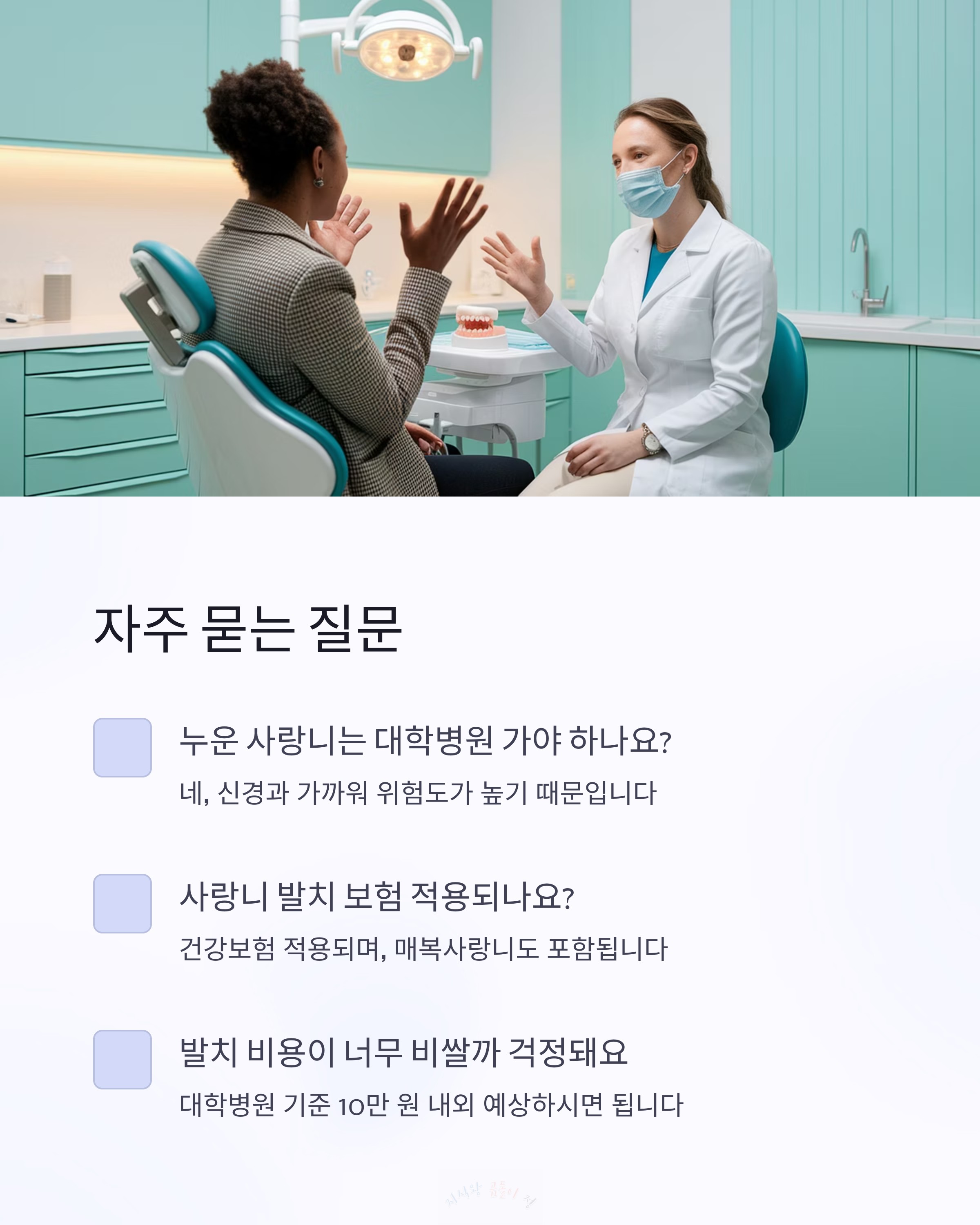 자주 묻는 질문