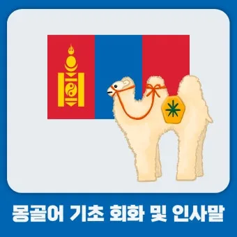 몽골 여행 인사말 안녕하세요 감사합니다 여행 회화_8