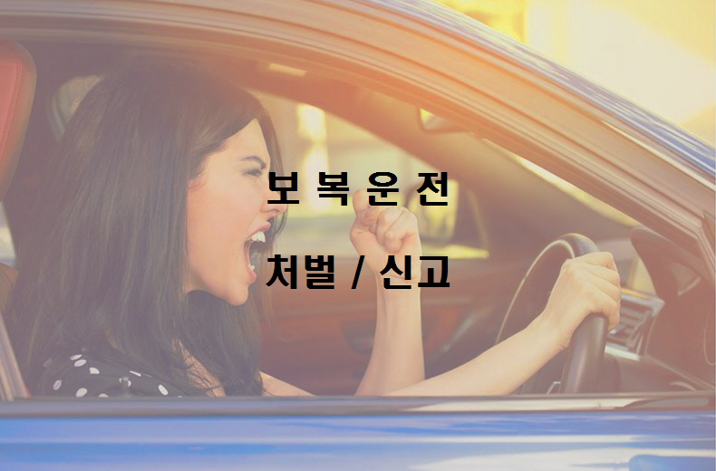  노다지네 잡학다식