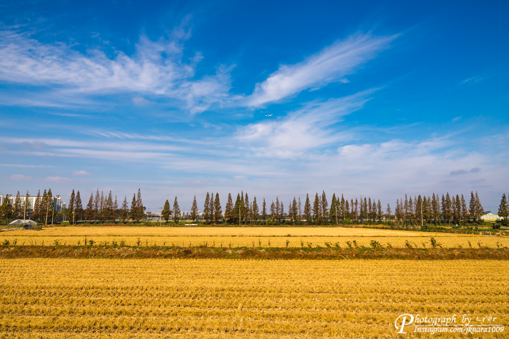  추경 (秋景)