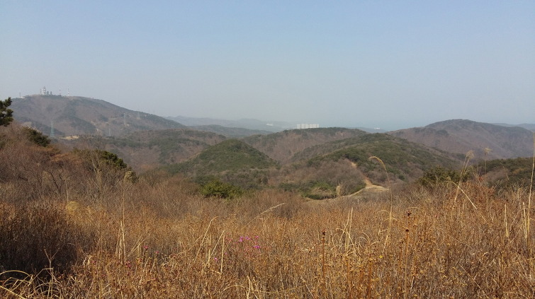 오치골 이미지