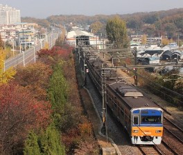 대구 지하철 노선도