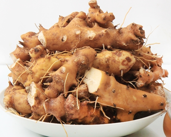  마왕이라 불리우는 단풍마, 단풍마의 효능 및 부작용은?
