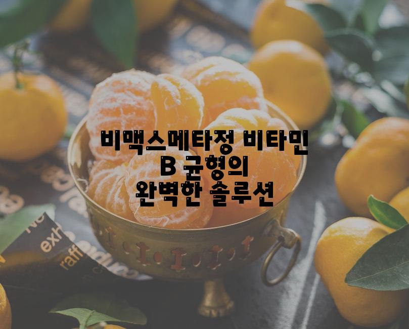 비맥스메타정 비타민 B 균형의 완벽한 솔루션