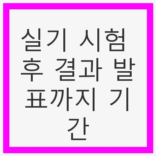 실기 시험의 중요성