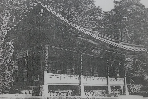 영상일기/20230216/나대자연 64