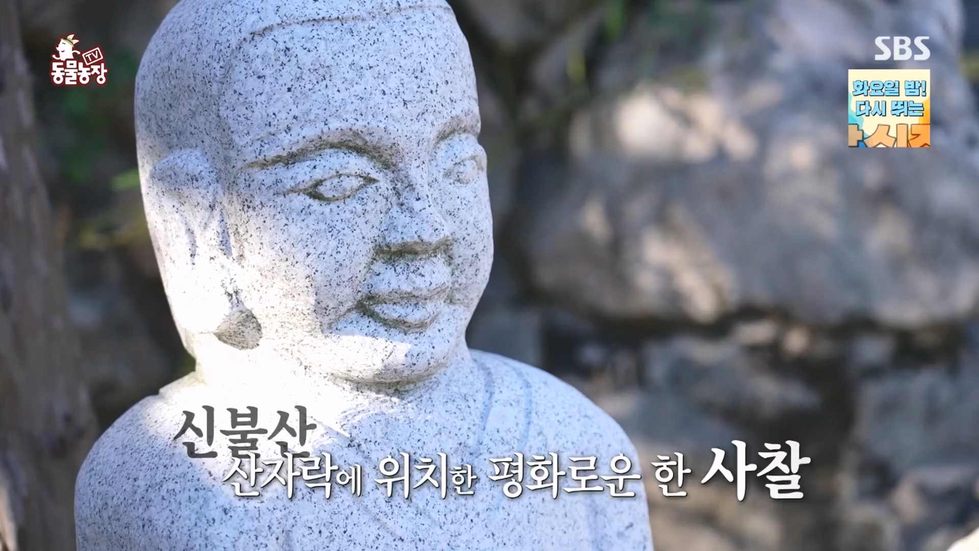 TV 동물농장.E1149.231210p.H264-F1RST.mp4_20231210_171048.752.jpg