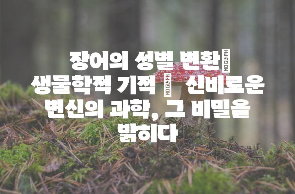 샘플 (42)