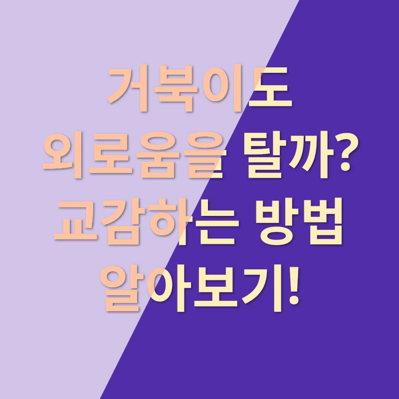 육지거북이 행복_2