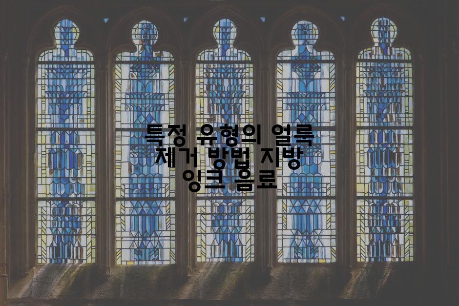 특정 유형의 얼룩 제거 방법 지방 잉크 음료