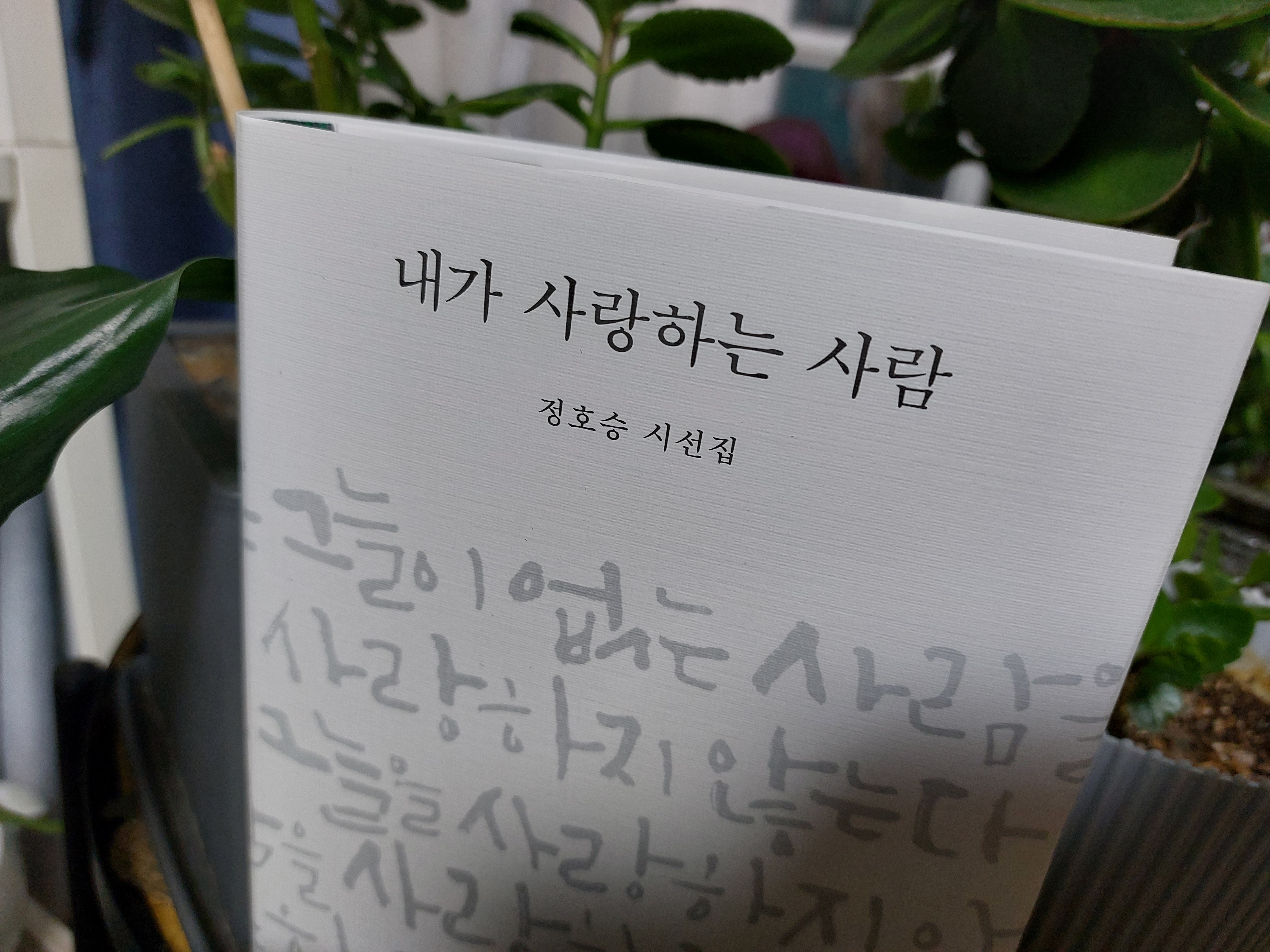  <시> 달팽이  정호승  시