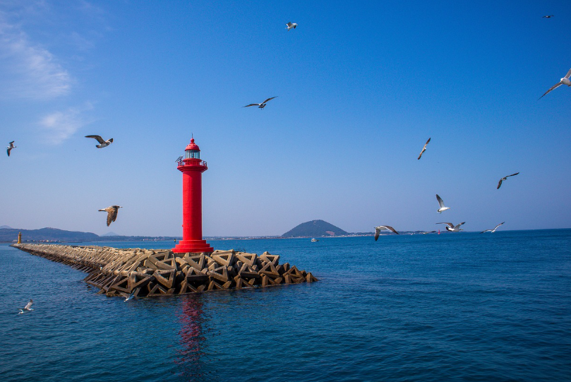 우리카드를 사용한 제주도 여행 사진