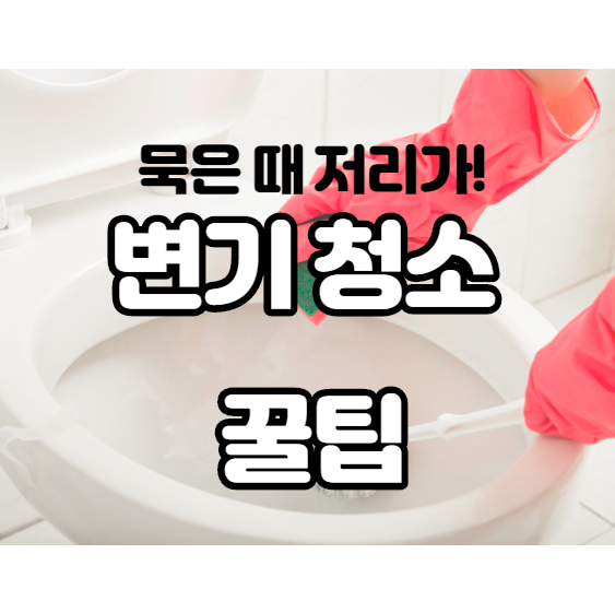  [변기 청소팁] 세정제 없이도 간편히 변기 묵은 때 제거방법 알려드려요.