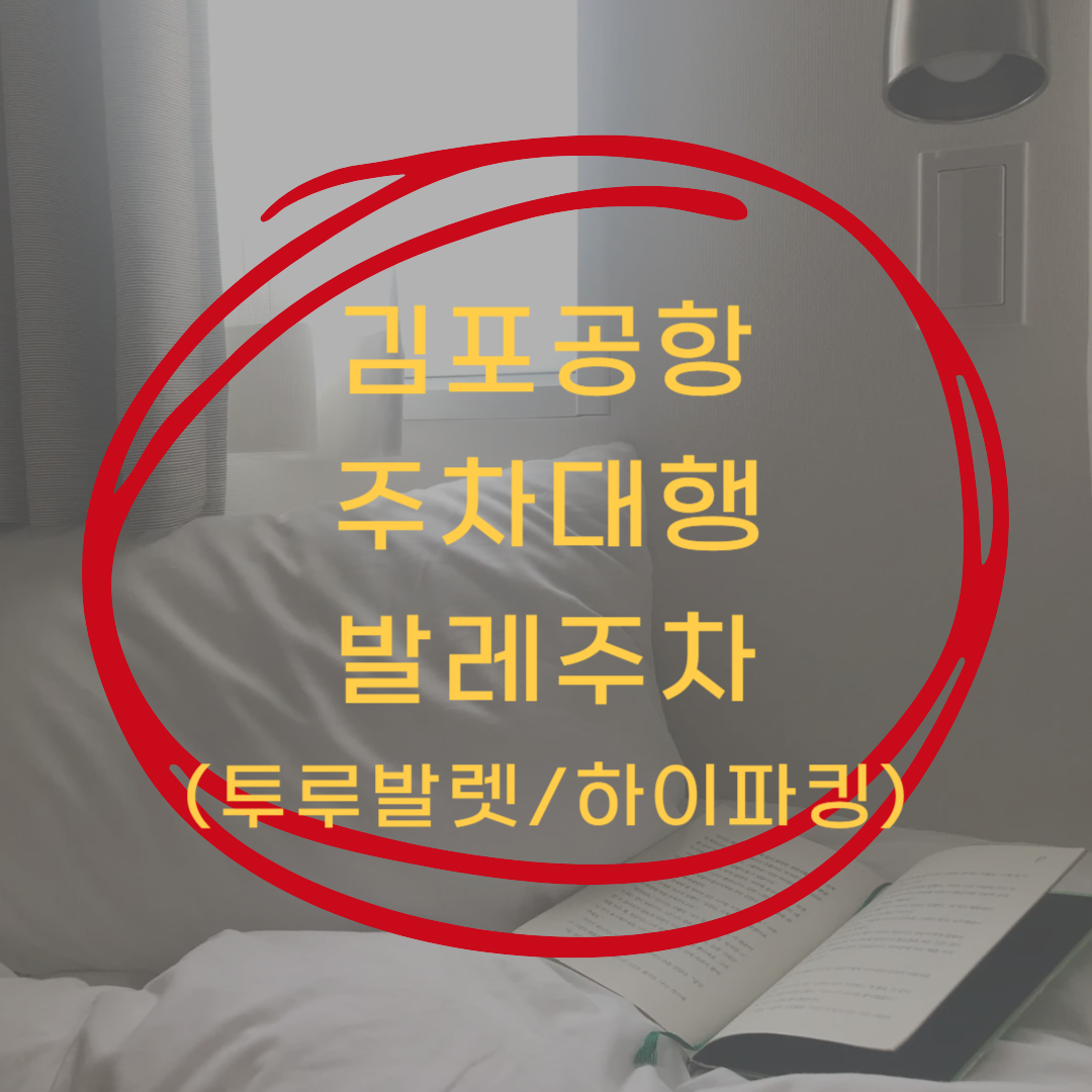 김포공항 발렛주차 주차대행 바로바기 ▶▶ (투루발렛/하이파킹)