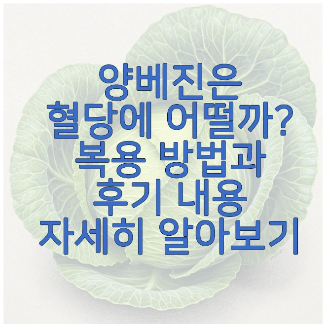 양베진에 관한 글 보러 가기 링크 사진