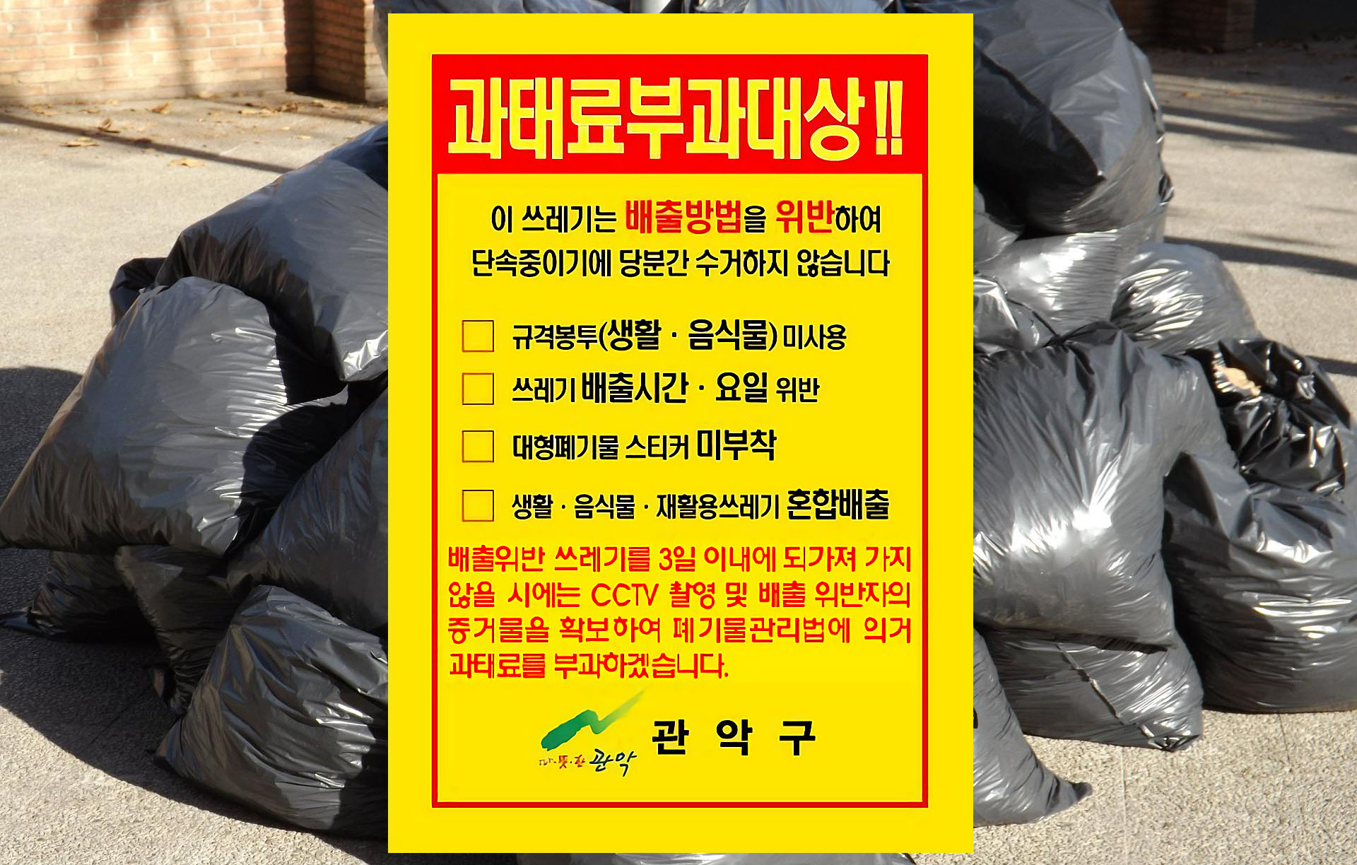  쓰레기 과태료 폭탄 이것만 지키면 피할 수 있다. 깔끔하게 정리