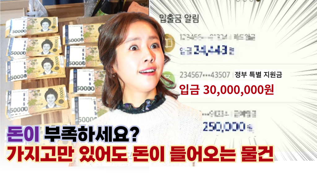  '돈이 안모이세요?' 액운은 사라지고 가지고만 있어도 돈복을 불러들이는 물건