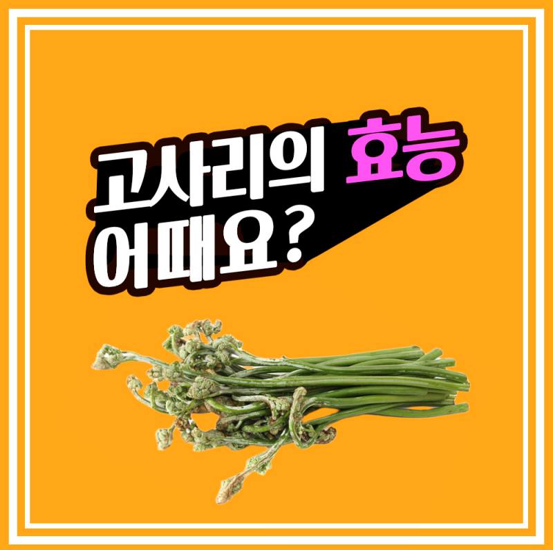  [약초건강] 고사리의 효능은? 고사리는 열을 내리게 하고, 면역력을 강화 시켜줘요! 고사리의 효능과 부작용은?