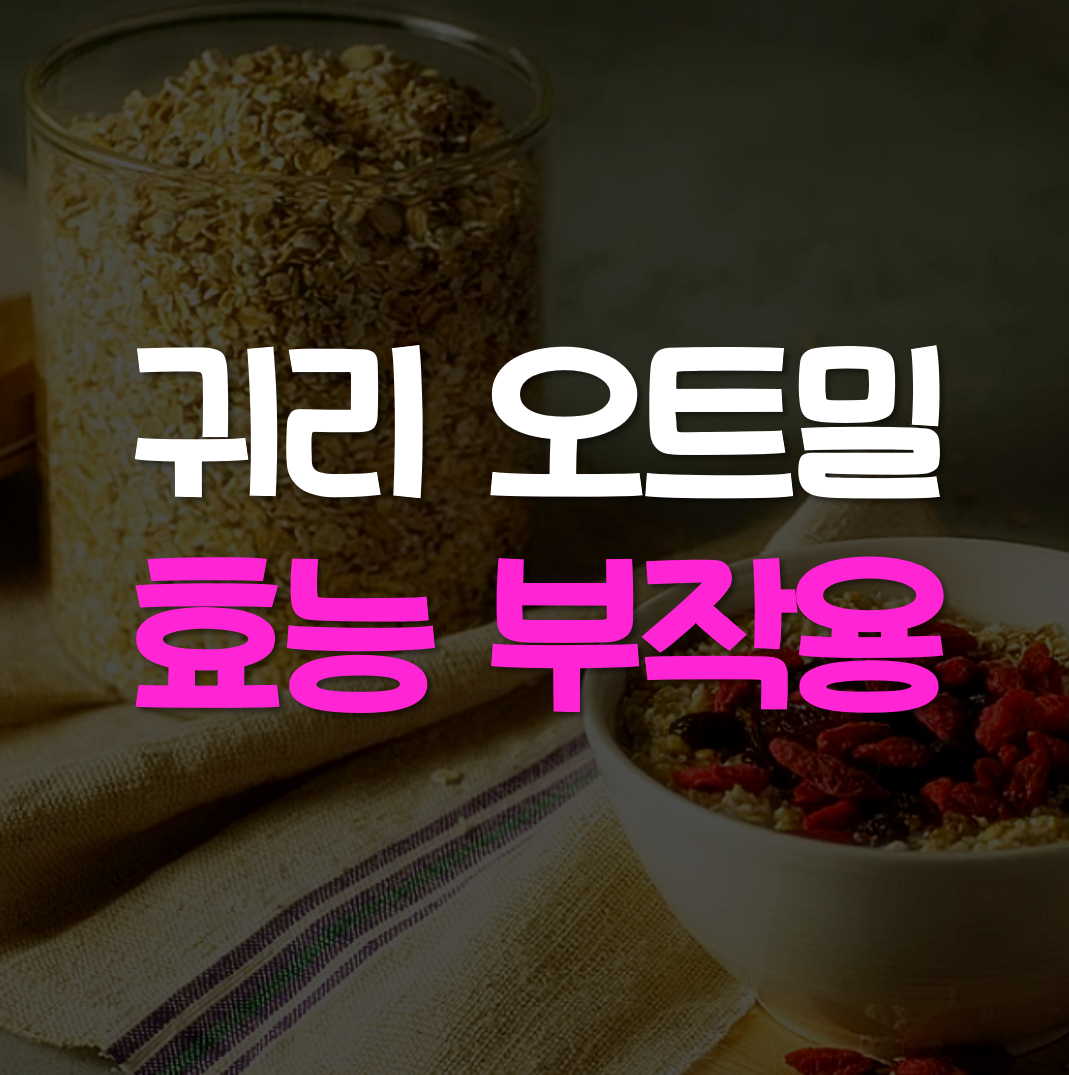  귀리 오트밀 효능