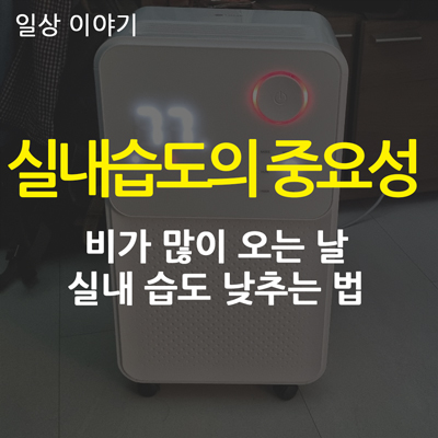 실내 습도가 주는 불편한 점들과 실내 습도를 낮추는 방법