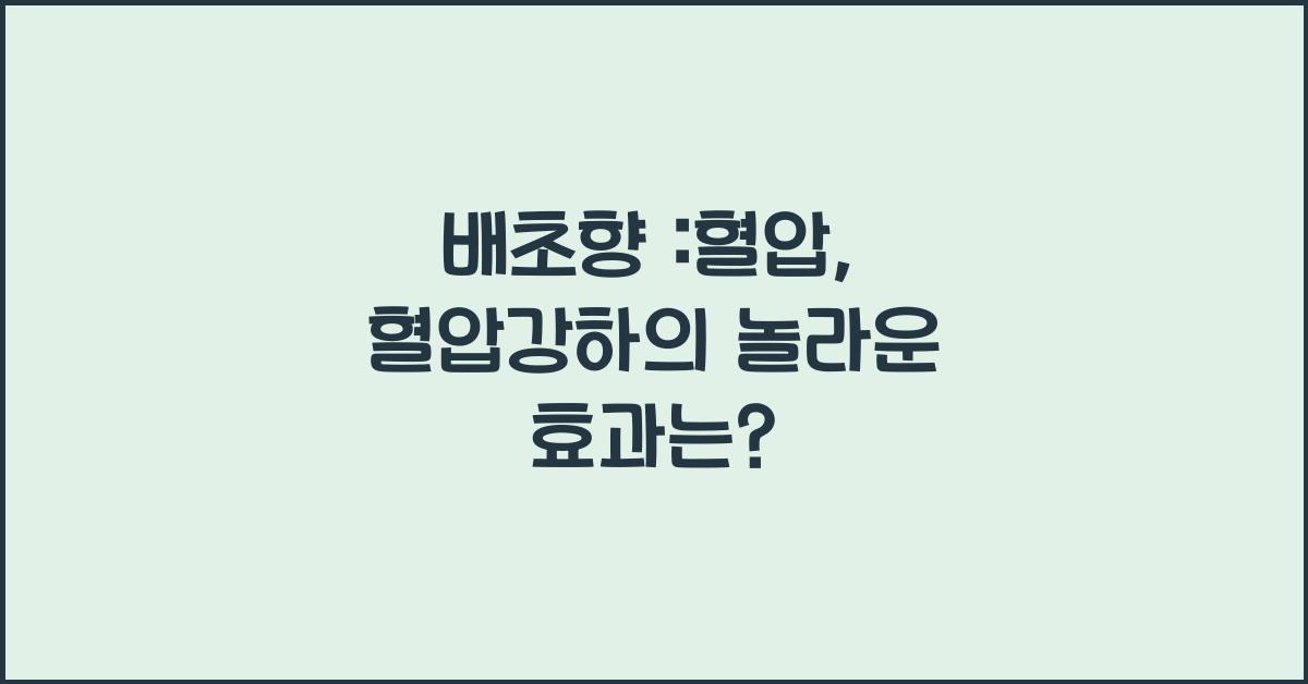 배초향 :혈압, 혈압강하