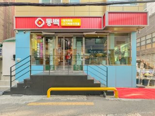 동백 사진 2