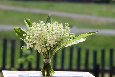 야외 테이블 위 작은 흰색 꽃이 가득한 꽃병