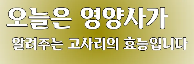 오늘은 영양사가 알려주는 고사리의 효능입니다