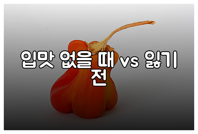 입맛 없을 때 vs 잃기 전