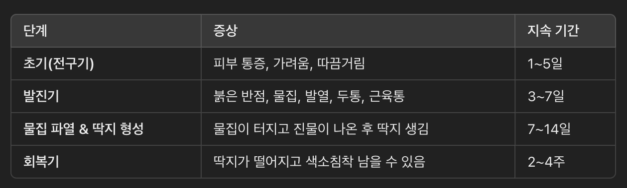 대상포진 증상 단계