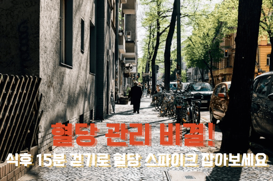 거리를 걷는 노인뒷모습