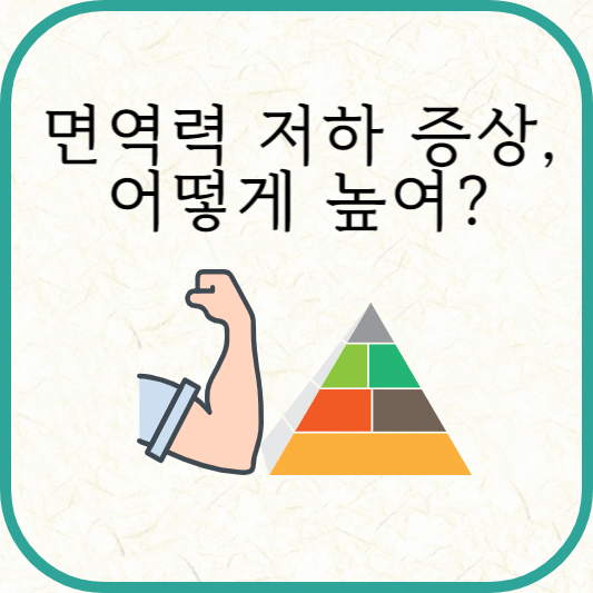 면역력 낮을 때 증상, 증진 방법