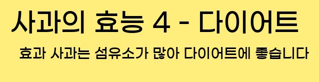  사과의 효능 4 - 다이어트 효과 사과는 섬유소가 많아 다이어트에 좋습니다