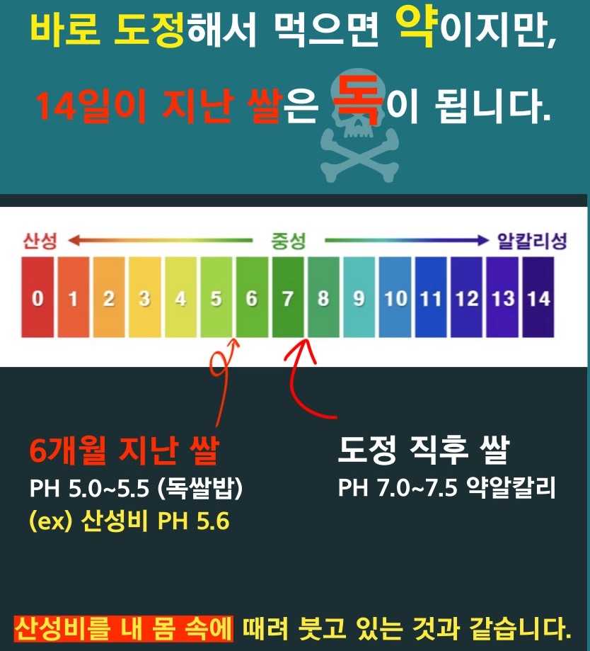 14일 지나면 산성비처럼 변해가는 쌀