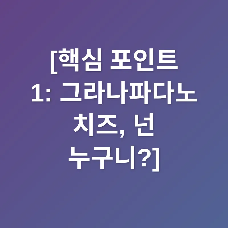 그라나파다노 치즈_1