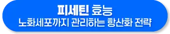 피세틴 효능