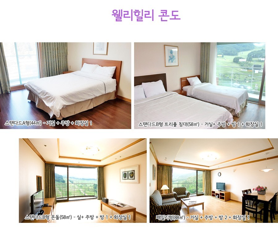웰리 이미지