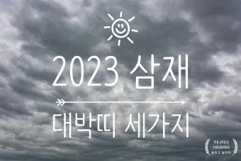 2025 띠별 운세 대박 띠 삼재띠 좋은 띠_24