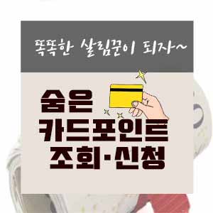  숨은 카드포인트 조회하고 비상금 받아가기