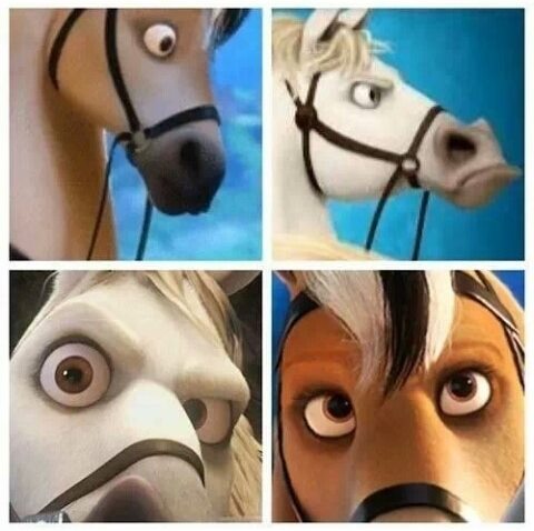 똑똑한 말 한스(Horse Hans);말지능,지능을가진말,폰 오스텐,수학문제,한스실험,오스카풍스트,콜드리딩,1차세계대전,동물지능,한스.